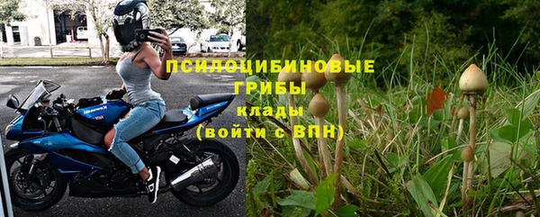 дурь Аркадак