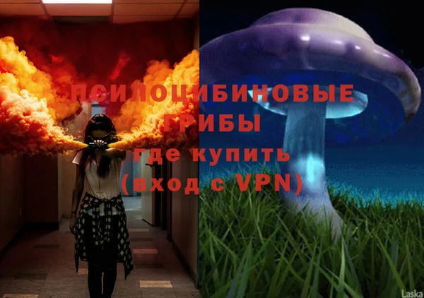 2c-b Арсеньев