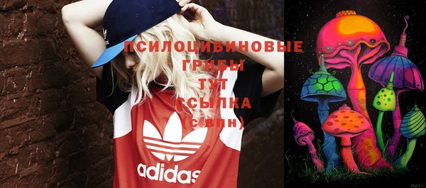 дурь Аркадак