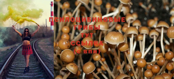 2c-b Арсеньев